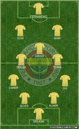 Fenerbahçe SK Formation 2015