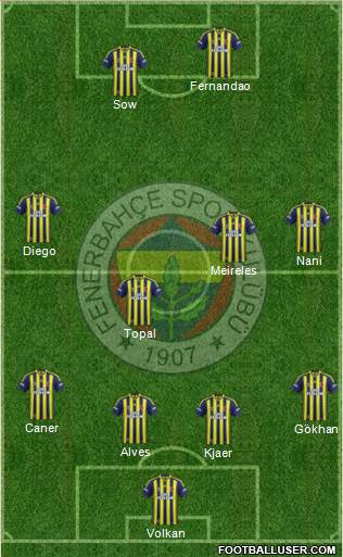 Fenerbahçe SK Formation 2015