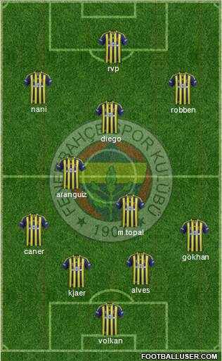 Fenerbahçe SK Formation 2015