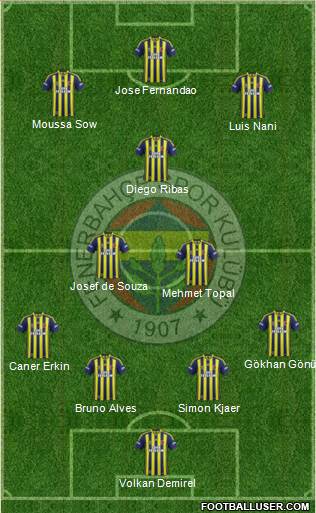 Fenerbahçe SK Formation 2015