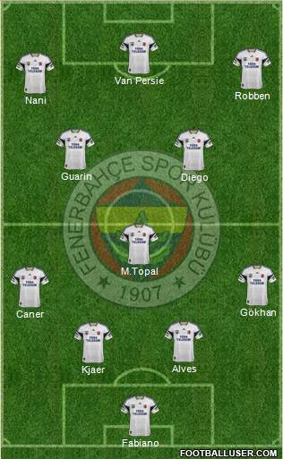 Fenerbahçe SK Formation 2015