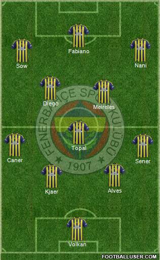 Fenerbahçe SK Formation 2015