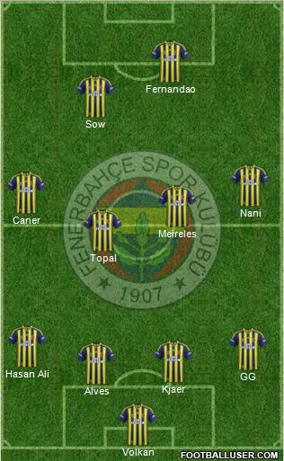 Fenerbahçe SK Formation 2015