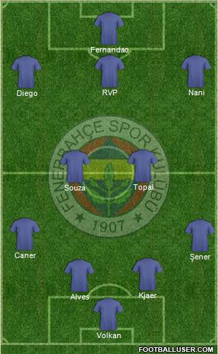 Fenerbahçe SK Formation 2015