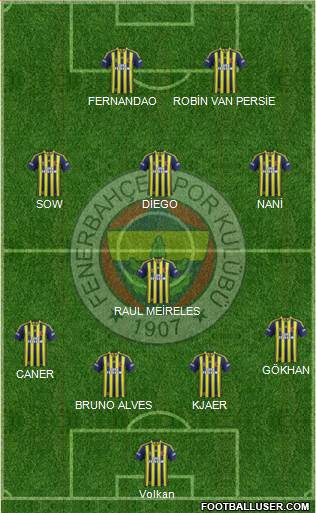 Fenerbahçe SK Formation 2015
