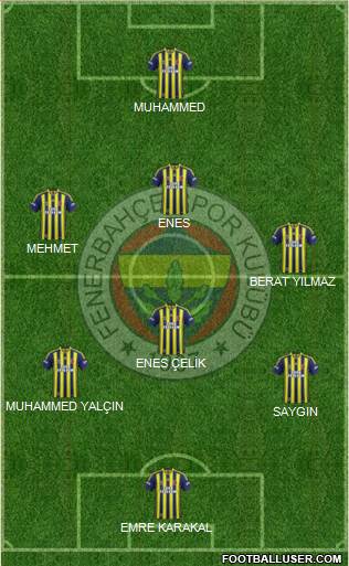 Fenerbahçe SK Formation 2015