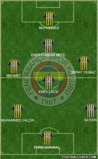 Fenerbahçe SK Formation 2015