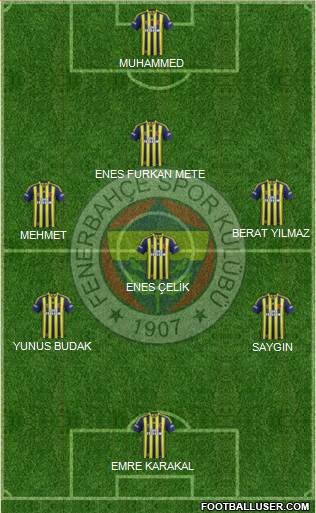 Fenerbahçe SK Formation 2015