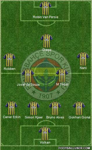 Fenerbahçe SK Formation 2015