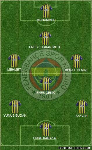 Fenerbahçe SK Formation 2015