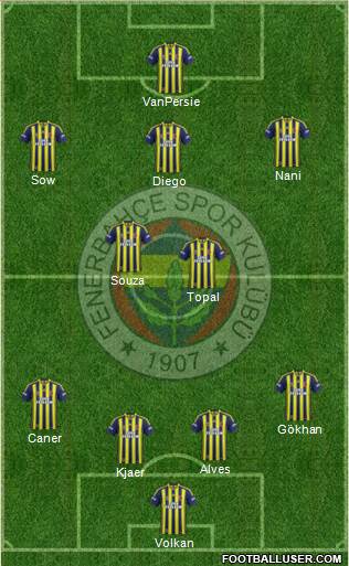 Fenerbahçe SK Formation 2015