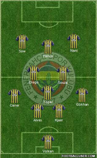 Fenerbahçe SK Formation 2015