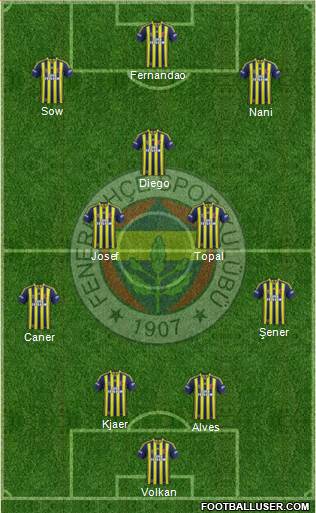 Fenerbahçe SK Formation 2015