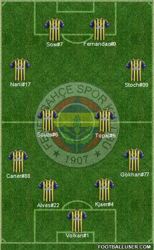 Fenerbahçe SK Formation 2015