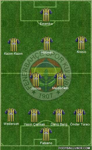 Fenerbahçe SK Formation 2015