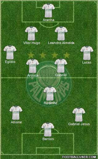 SE Palmeiras Formation 2015