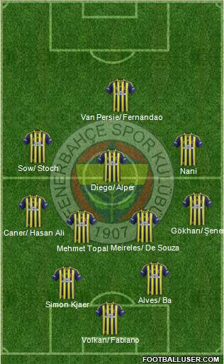 Fenerbahçe SK Formation 2015