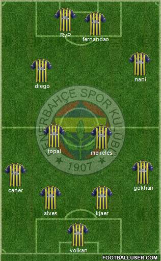 Fenerbahçe SK Formation 2015