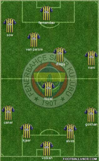 Fenerbahçe SK Formation 2015