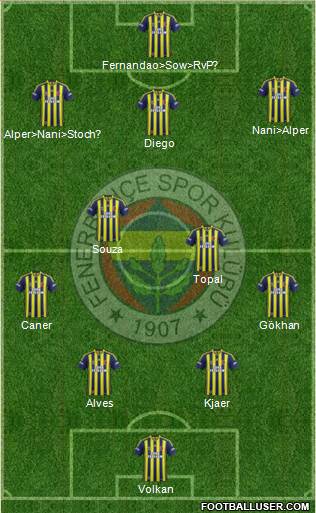 Fenerbahçe SK Formation 2015