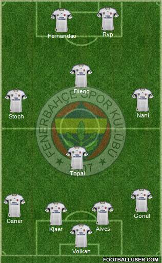 Fenerbahçe SK Formation 2015