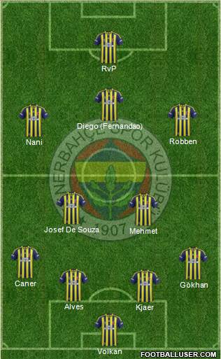 Fenerbahçe SK Formation 2015