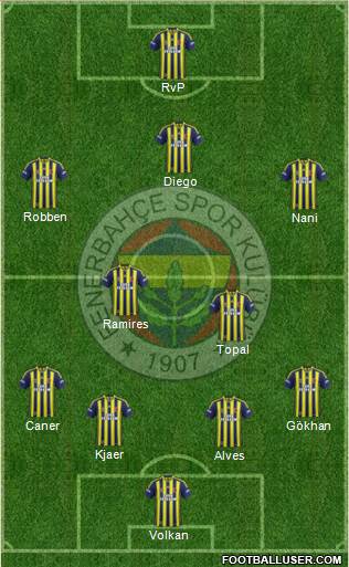 Fenerbahçe SK Formation 2015