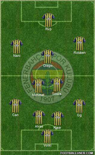 Fenerbahçe SK Formation 2015