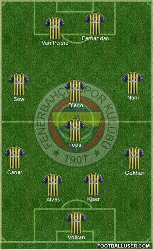 Fenerbahçe SK Formation 2015