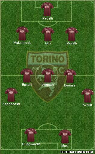 Torino Formation 2015