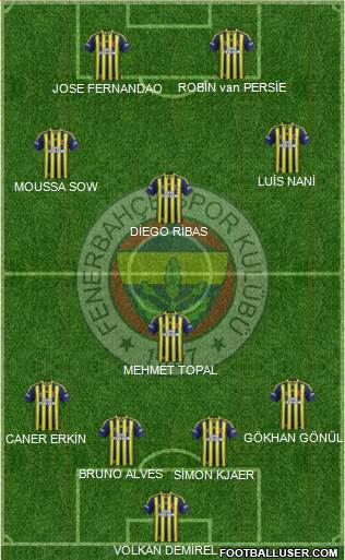 Fenerbahçe SK Formation 2015