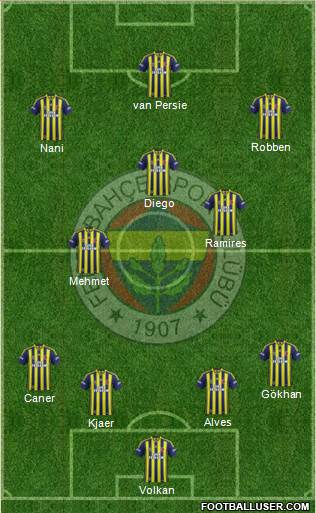 Fenerbahçe SK Formation 2015