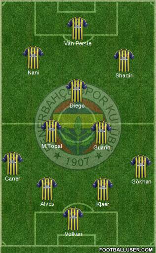 Fenerbahçe SK Formation 2015