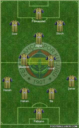 Fenerbahçe SK Formation 2015