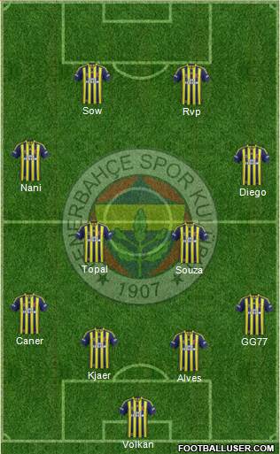 Fenerbahçe SK Formation 2015