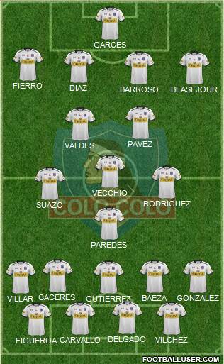 CSD Colo Colo Formation 2015