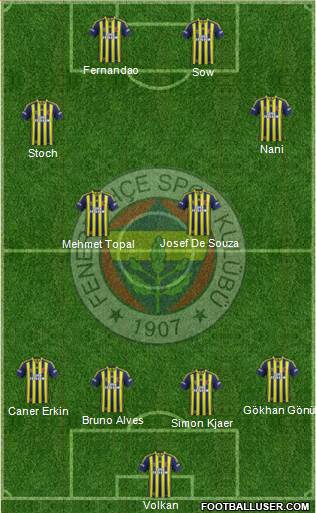 Fenerbahçe SK Formation 2015