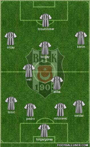 Besiktas JK Formation 2015