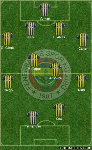Fenerbahçe SK Formation 2015