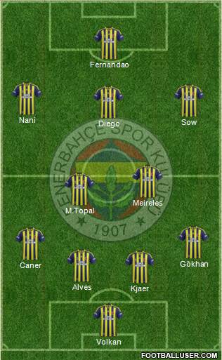 Fenerbahçe SK Formation 2015