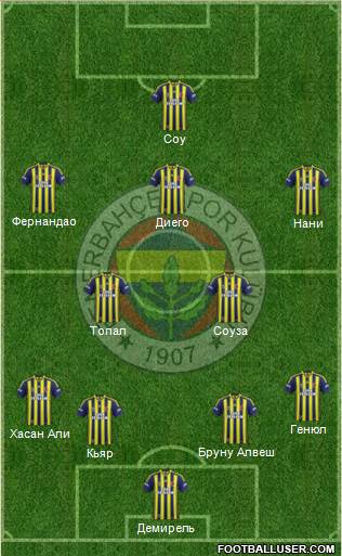 Fenerbahçe SK Formation 2015