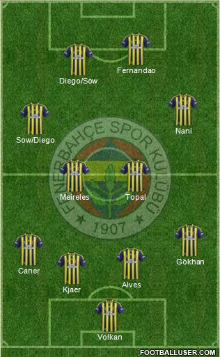 Fenerbahçe SK Formation 2015