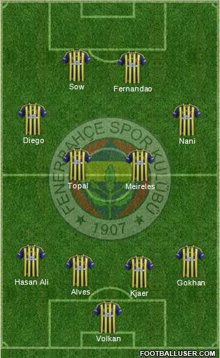 Fenerbahçe SK Formation 2015