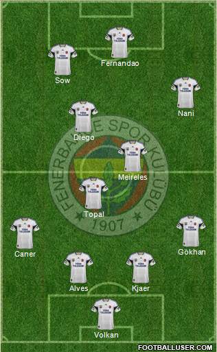 Fenerbahçe SK Formation 2015