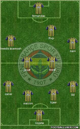 Fenerbahçe SK Formation 2015