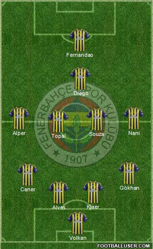 Fenerbahçe SK Formation 2015