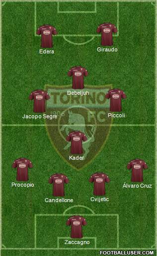 Torino Formation 2015