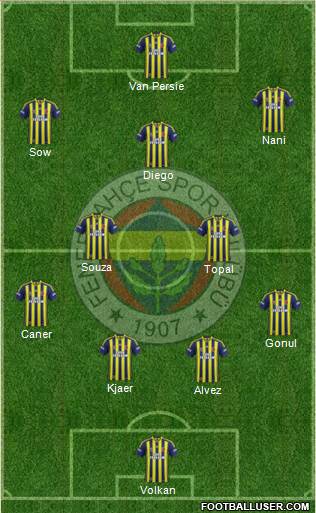 Fenerbahçe SK Formation 2015