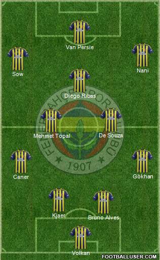 Fenerbahçe SK Formation 2015