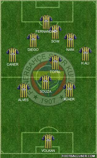 Fenerbahçe SK Formation 2015